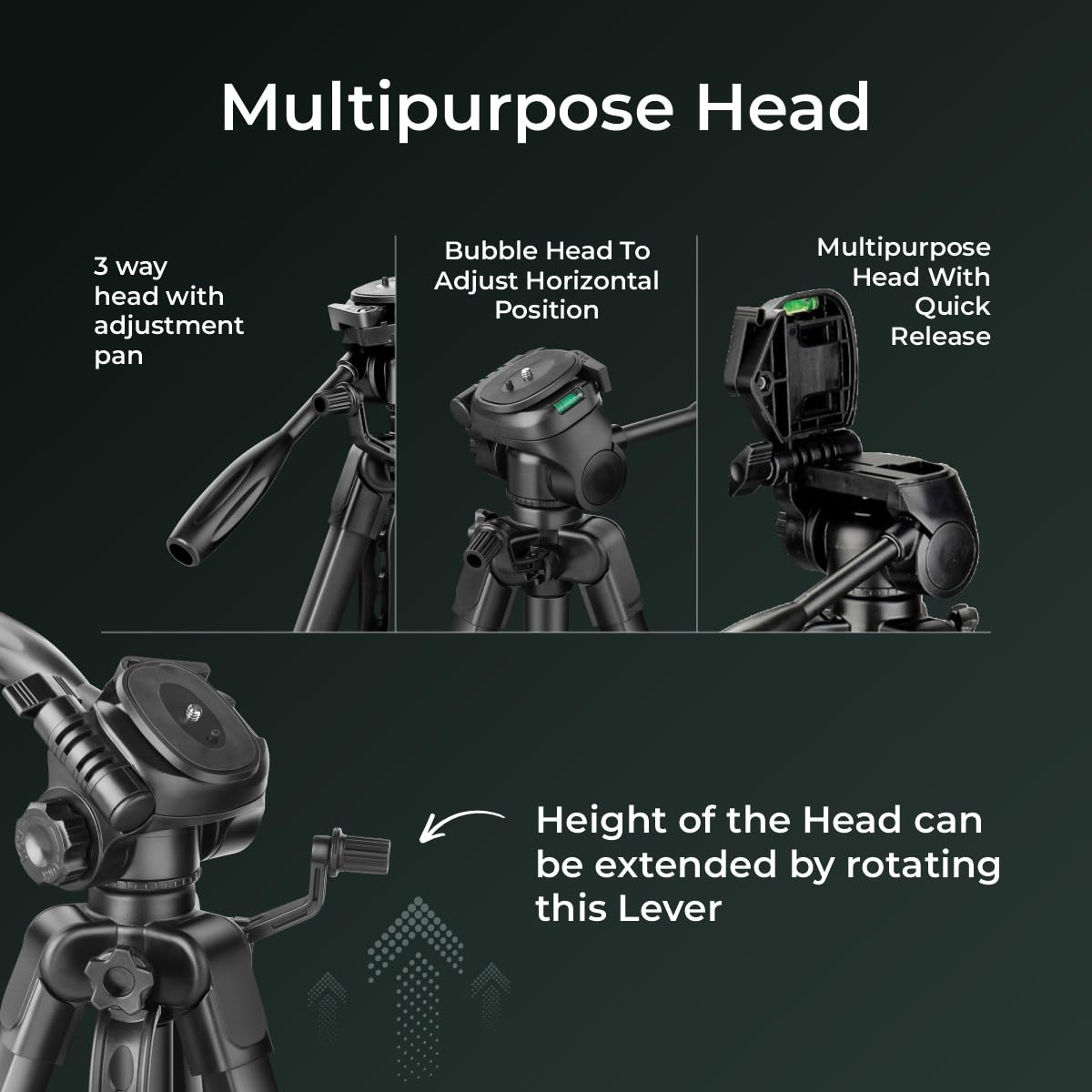 DIGITEK (DTR 550 LW) 67 Inch Foldable Tripod Stand with Phone Holder & 360 degree Ball Head, 5kg Load Capacity 1.0 Piece