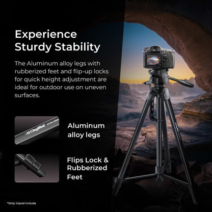 DIGITEK (DTR 550 LW) 67 Inch Foldable Tripod Stand with Phone Holder & 360 degree Ball Head, 5kg Load Capacity 1.0 Piece