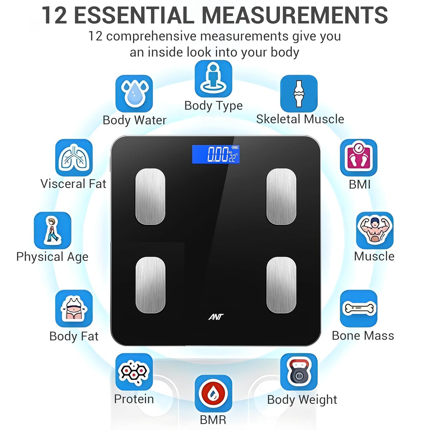 Ant flora weight scale